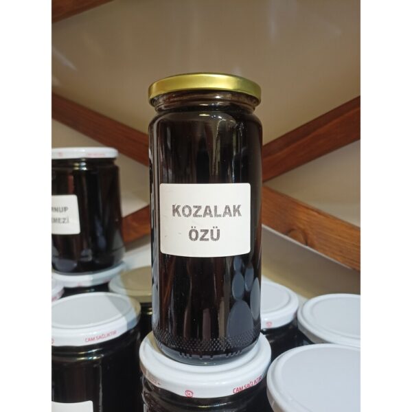 PAFLAGONIA® Gurme Kozalak Özü 650 Gr - Genç Çam Kozalağından Doğal Ürün